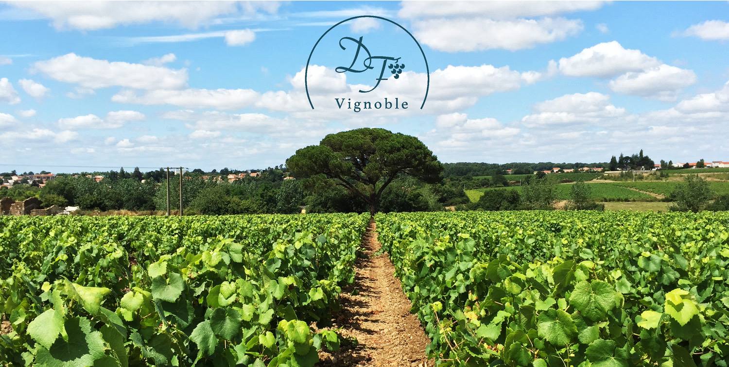 Domaine de la fessardière Domaine de la fessardière